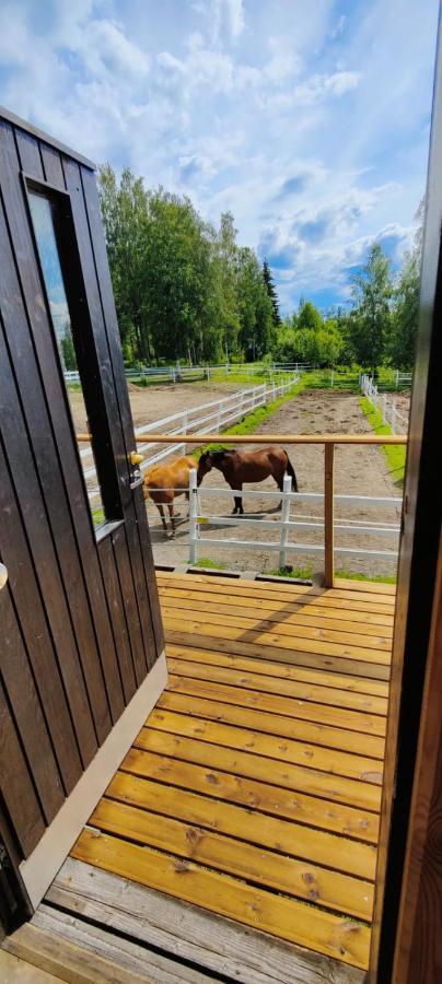 Bb Polle - With The Horse View Apartment Mikkeli Exterior photo